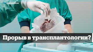 Ученые изменили группу крови донору почки