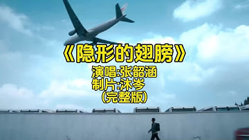 张韶涵《隐形的翅膀》MV完整版#经典歌曲百听不厌 #张韶涵演唱会 #经典金曲 #抖音音乐分享人 #音乐mv
