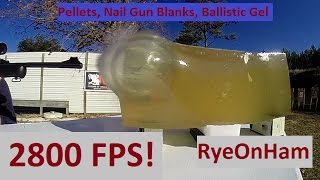 Pellets, Nail Gun Blanks, Ballistic Gel, & 2800 FPS!