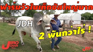 EP 352.ตะลุยฟาร์มวัวชื่อดังในเท็กซัส