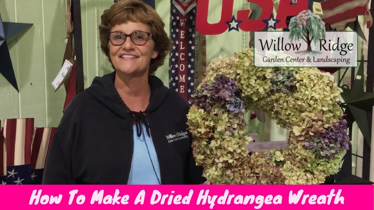 How to Dry Hydrangea Flowers - Stacy Ling