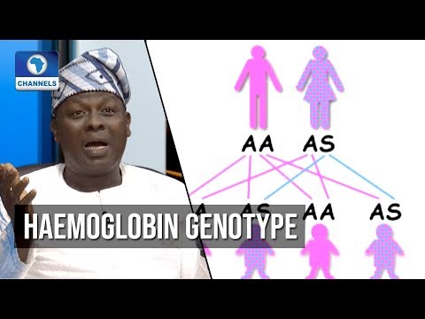 Video: Vilken är blodgruppen som genotyp?