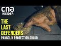 Saving Pangolins From Poachers In Cat Tien, Vietnam | The Last Defenders | Full Episode