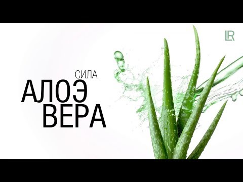LR рекомендации при