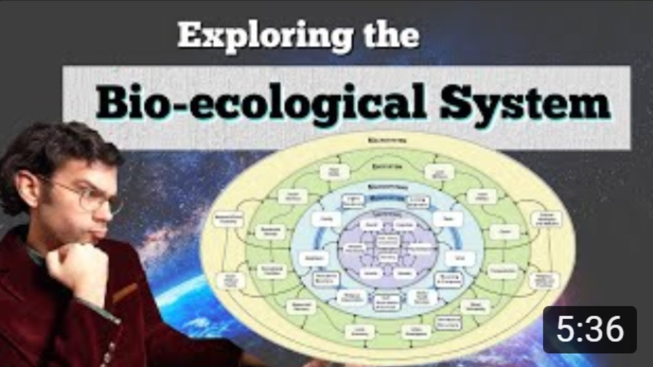 What is The Bioecological System?