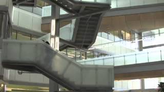 UAA Native Student Services