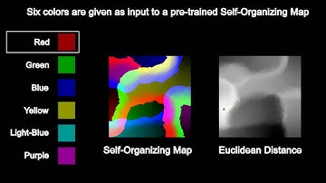 Self-Organizing Map - Euclidean Distance Estimation (python)