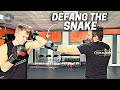 Defanging the snake in combat sports  selfdefense w gabrielvargaofficial  hard2hurt  sacredboxing