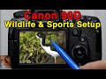 Canon 90D Tutorial | Wildlife & Sports Setup