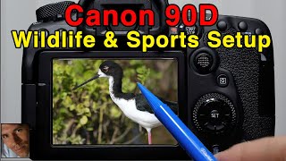 Canon 90D Tutorial | Wildlife & Sports Setup