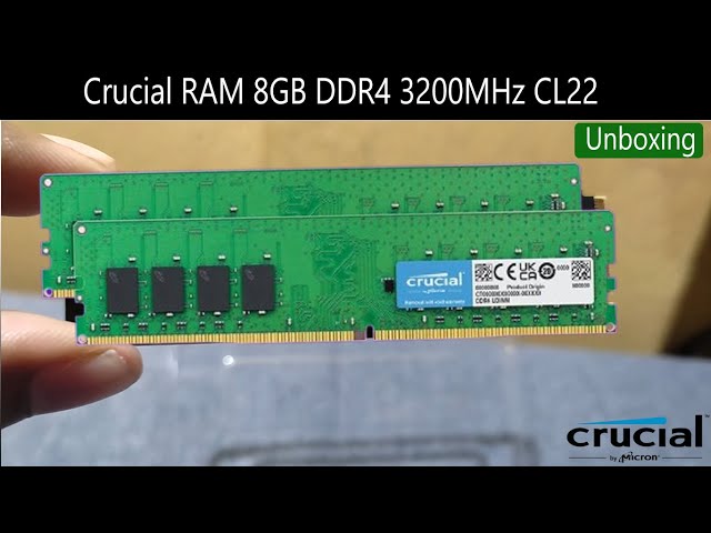 Crucial RAM 8GB DDR4 3200MHz CL22 Desktop Memory Green - Unboxing
