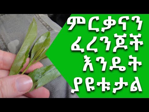 ቪዲዮ: የበጋ ነዋሪዎችን እጆች እንዴት መንከባከብ?