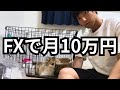 FXで月10万円を安定して稼ぐまでに僕がやったこと全て話します