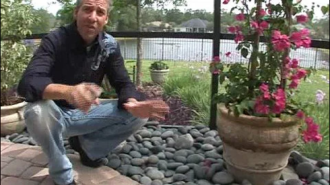 Part 2 - "Patio & Kitchen Makeover"