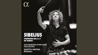 Symphony No. 6 in D Major, Op. 104: I. Allegro molto moderato - Poco tranquillo