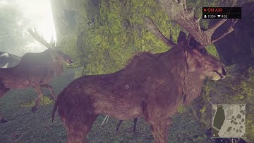 Demo_D Archive: NieR Automata - Pt.6