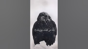 احمد العجمي:سورة القارعة ahmed  ajmi surah Al-Qâriah