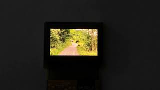 0 72Inch Microdisplay Micro Oled Display 19201200 1080P With A Hdmi Driver Board Vr Military Device