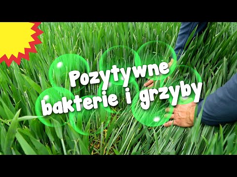 Wideo: Biologiczne środki ochrony roślin: rodzaje i metody