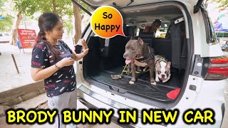 Brody Bunny in New Car 🐶 They Are So Happy 😄 | Harpreet SDC