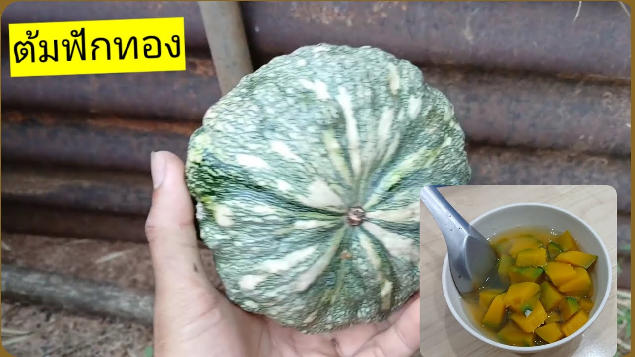 เมนูวันนี้ ฟักทองต้มน้ำตาล แบบง่ายๆ Boiled Pumpkin Sweet. by 7deity 