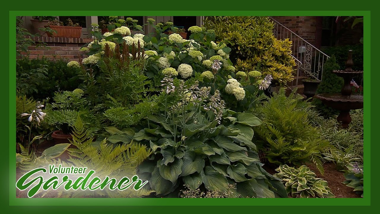 The Joy in Seeing a Garden Grow | Volunteer Gardener