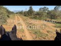 Virtual Horse Safari, Episode 1