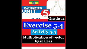 Mathematics Grade 11 Unit 5 Exercise 5.4 & Activity 5.5(Multiplication of vector by scalers)@Girma21