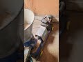 TUNAUZA MASHINE YA KUTENGENEZA PELLET KWAJILI YA CHAKULA CHA MIFUGO