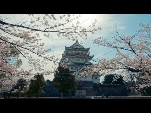 亥鼻城 千葉城跡 の桜 亥鼻公園 千葉市のお花見スポット Inohanakouen Park Cherry Blossoms Chiba Castle Cherry Blossom Festival Youtube