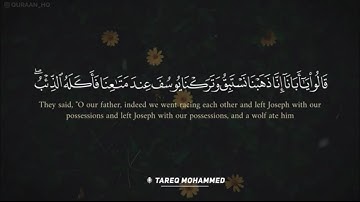 سورة يوسف كاملة - تلاوة عذبة خاشعة للقارئ طارق محمد| tareq mohammad #القارئ_طارق_محمد #سورة_يوسف