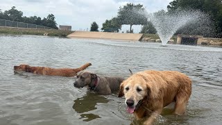 Review video for Cedar Bark Park