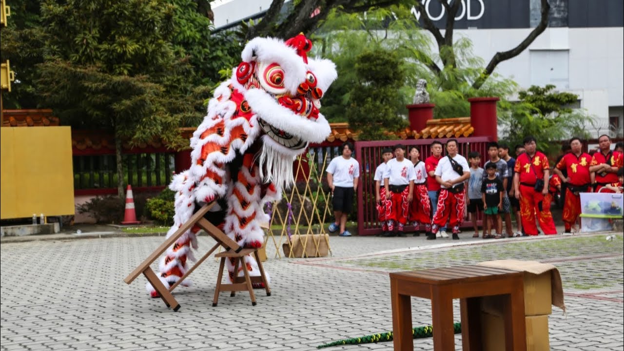 Da Peng Nam Wah Pai Wushu Dragon And Lion Dance Institution 大鹏南华派武术龙狮太极 ...