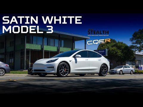 2019 Tesla Model 3 - Xpel Stealth PPF - Jason's Pro Detail