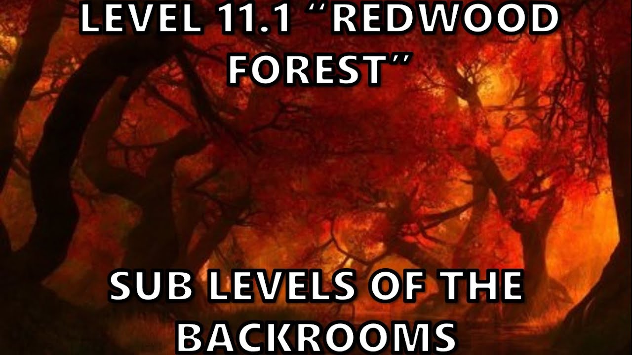Level 11.1 Redwood Forest  Sub Levels of The Backrooms 