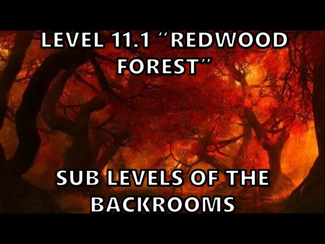 The Backrooms [Forest Levels]