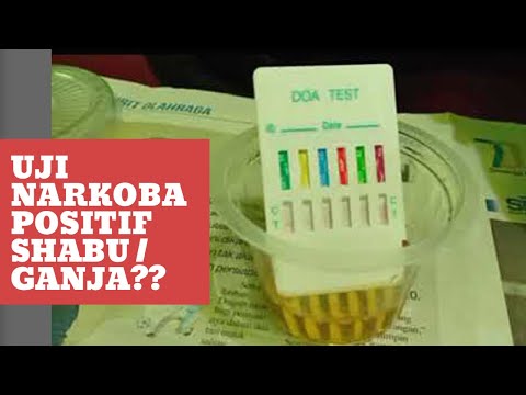 Video: Cara Mudah Membaca Hasil Tes Narkoba: 10 Langkah (Dengan Gambar)