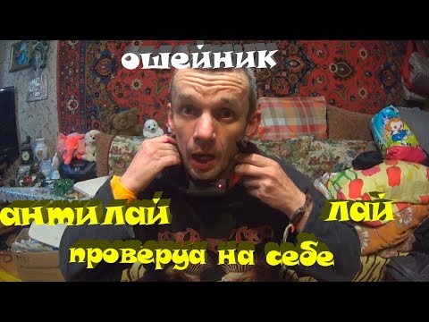 ошейник антилай( проверка на себе)