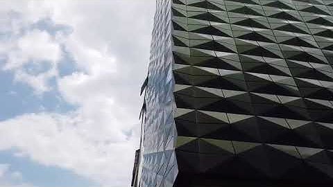 3D design chameleon blue color ACP