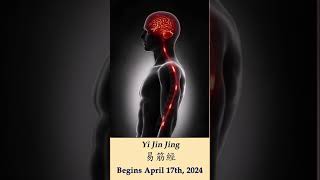 10 reasons to learn the Yi Jin Jing (6  10)