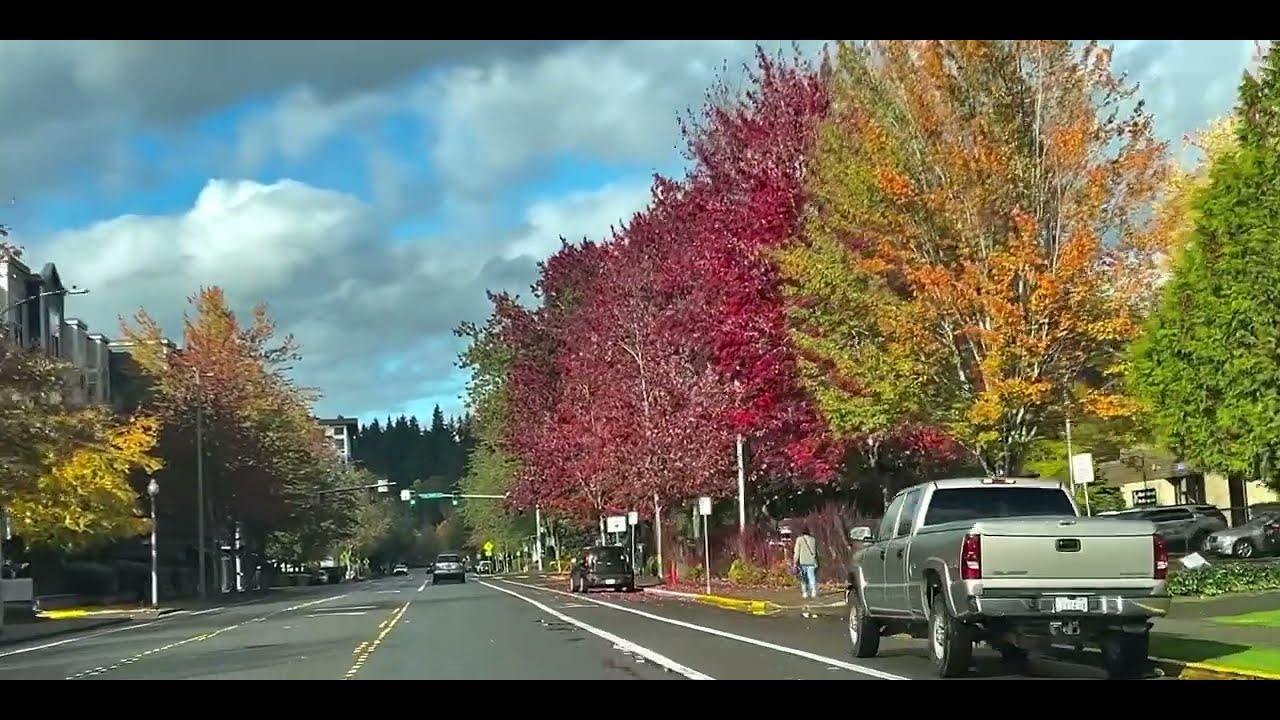 Autumn in Small Town America | Best Fall Foliage 
