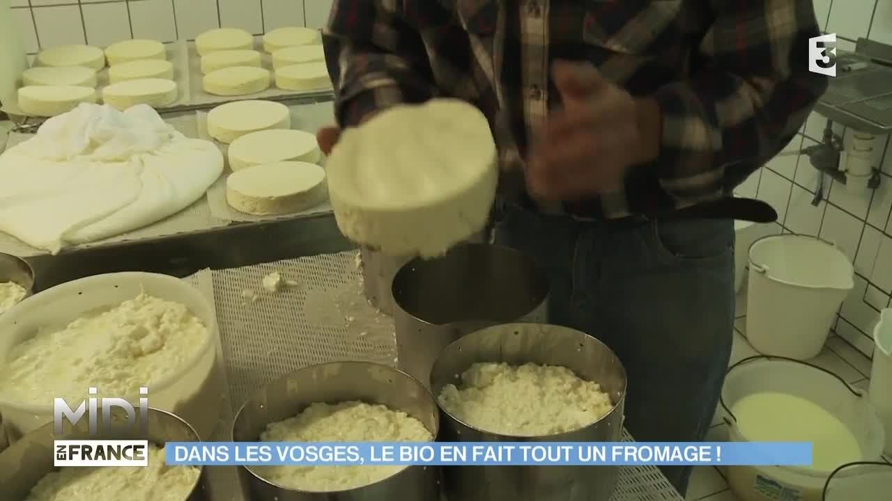FEUILLETON : Dans les Vosges, le bio en fait tout un fromage