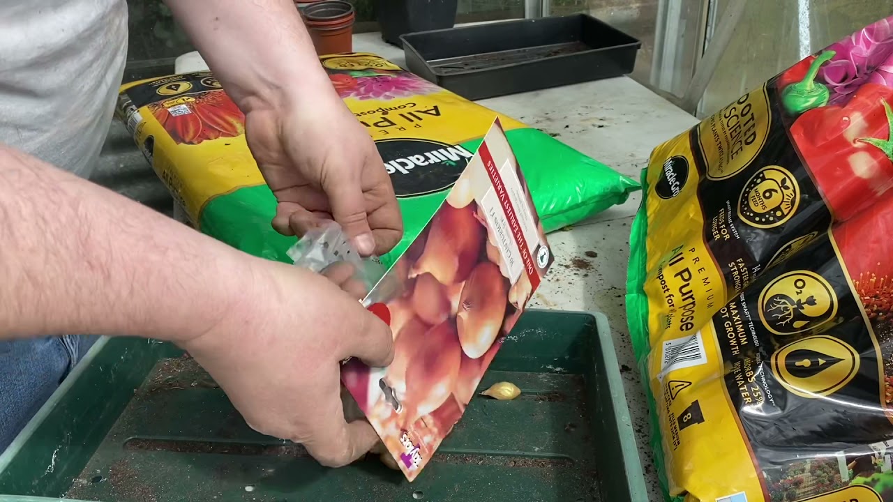 Allotment Diary....Grow With Me....Tunnel Revamp & Planting Onion Sets