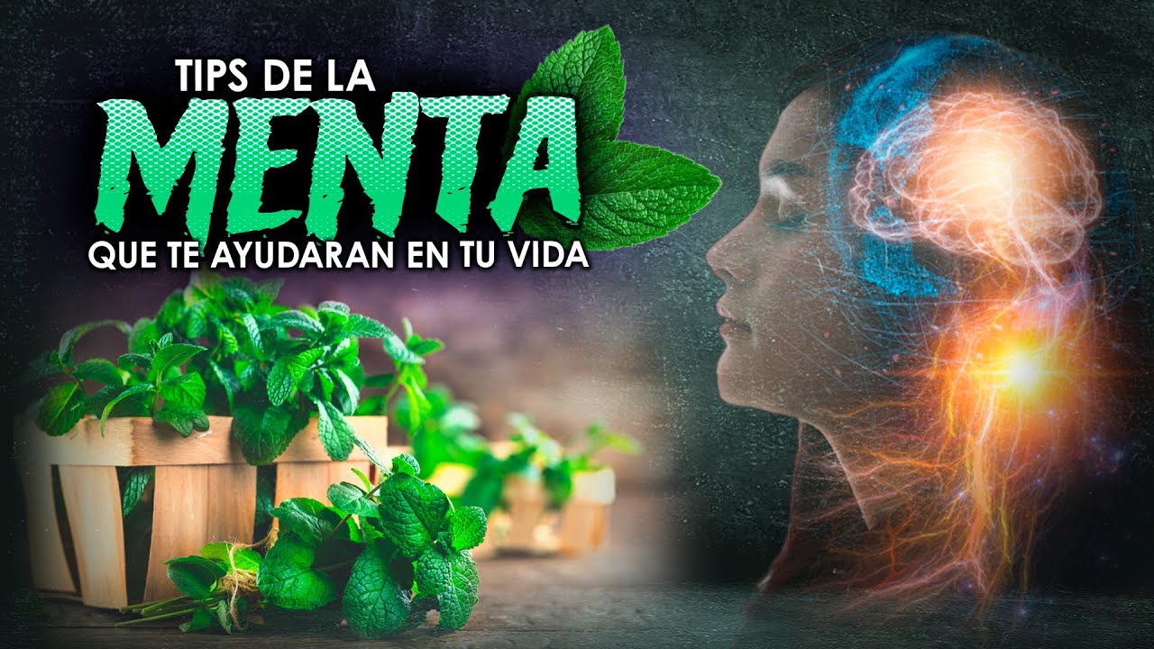 Tips de la Menta que te ayudaran en tu vida - YouTube
