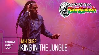 Jah Cure - King In The Jungle @ Rototom Sunsplash 2015