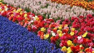 LA HOLLANDE EN CAMPING CAR 2006 2007 2008 2009 ET AVRIL MAI  2018