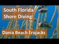 South Florida Shore Diving: Dania Beach Erojacks - YouTube
