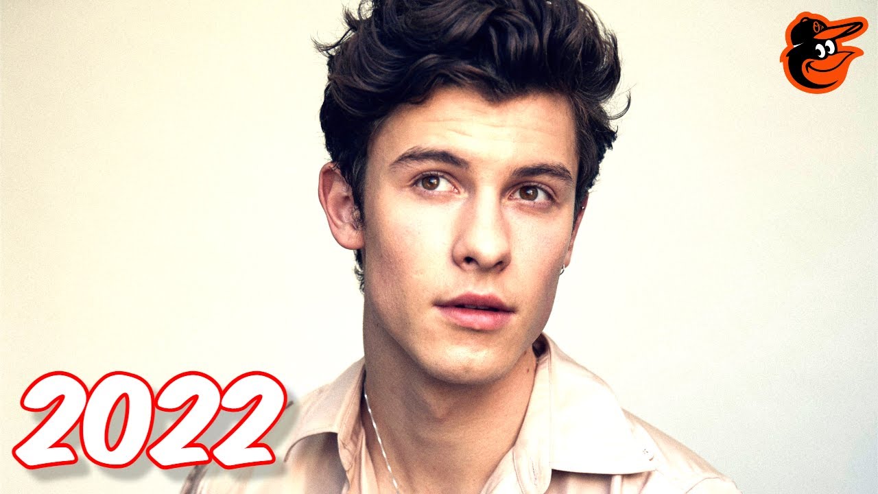 Shawn Mendes ️ Music Mix 2022 💖EDM Remixes of Popular Songs💖Best EDM