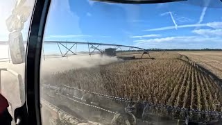 Farming With 3 Different Generations Of Case IH Axial Flow Combines (AF11, 9260 & 9250) S7 E31