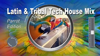 Latin & Tribal Tech House Mix | Dancing Parrot Edition